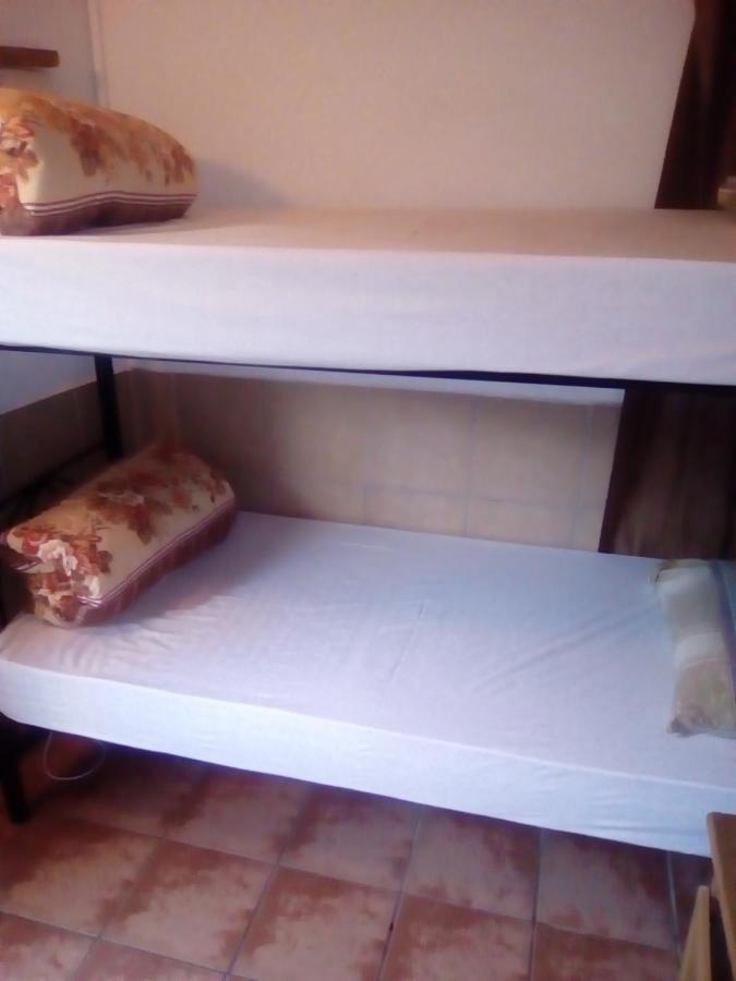 Accoustix Backpackers Hostel ヨハネスブルグ エクステリア 写真