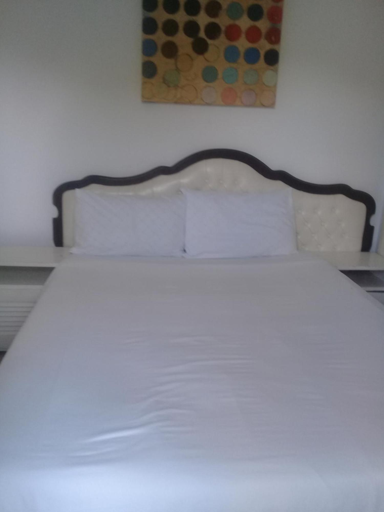 Accoustix Backpackers Hostel ヨハネスブルグ エクステリア 写真